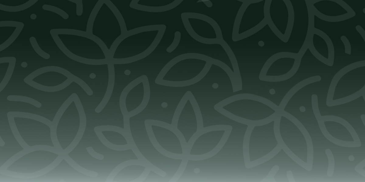 Early Bird Special Early Bird Special The Daily Green NYC Times Square Cannabis Dispensary