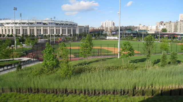 Yankee Stadium yankees The Daily Green cannabis dispensary near me dispensary times square new york city nyc manhattan midtown cannabis near me manhattan cannabis weed dispensary manhattan weed in midtown
