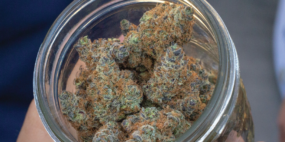 bulk flower and affordable ounces cheap cannabis cheap marijuana value cannabis value marijuana The Daily Green cannabis dispensary near me dispensary times square new york city nyc manhattan midtown cannabis near me manhattan cannabis weed dispensary manhattan weed in midtown