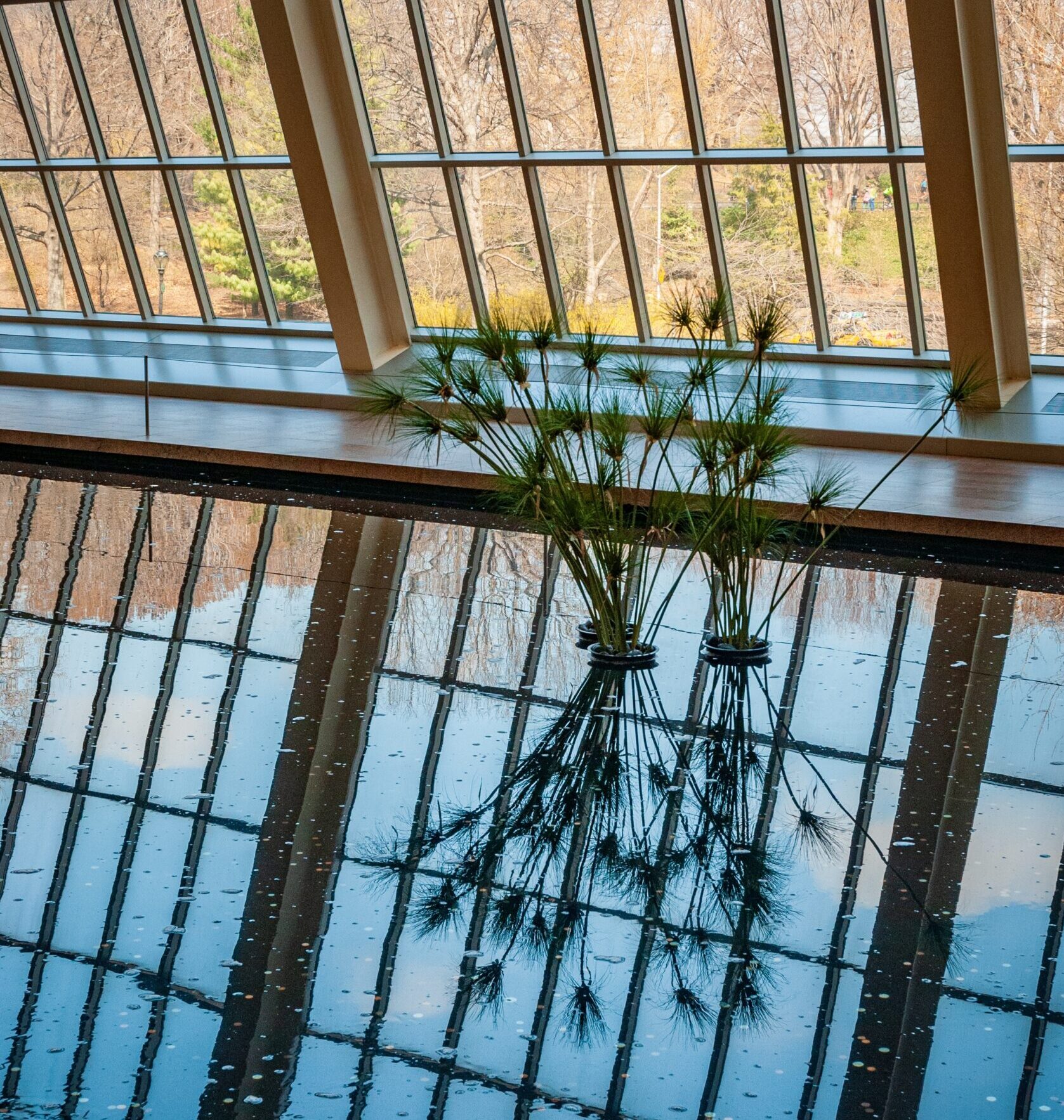 The Metropolitan Museum of Art, in New York City, New York