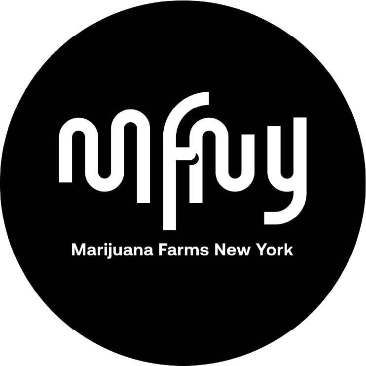 MFNY B2G1 4/20 Express Line 4/20 Deals 420 deals nyc 420 savings mfny card mfny giveaway 4/20 savings 420 coupons at The Daily Green cannabis dispensary near me dispensary times square new york city nyc manhattan midtown cannabis near me manhattan cannabis weed dispensary manhattan weed in midtown