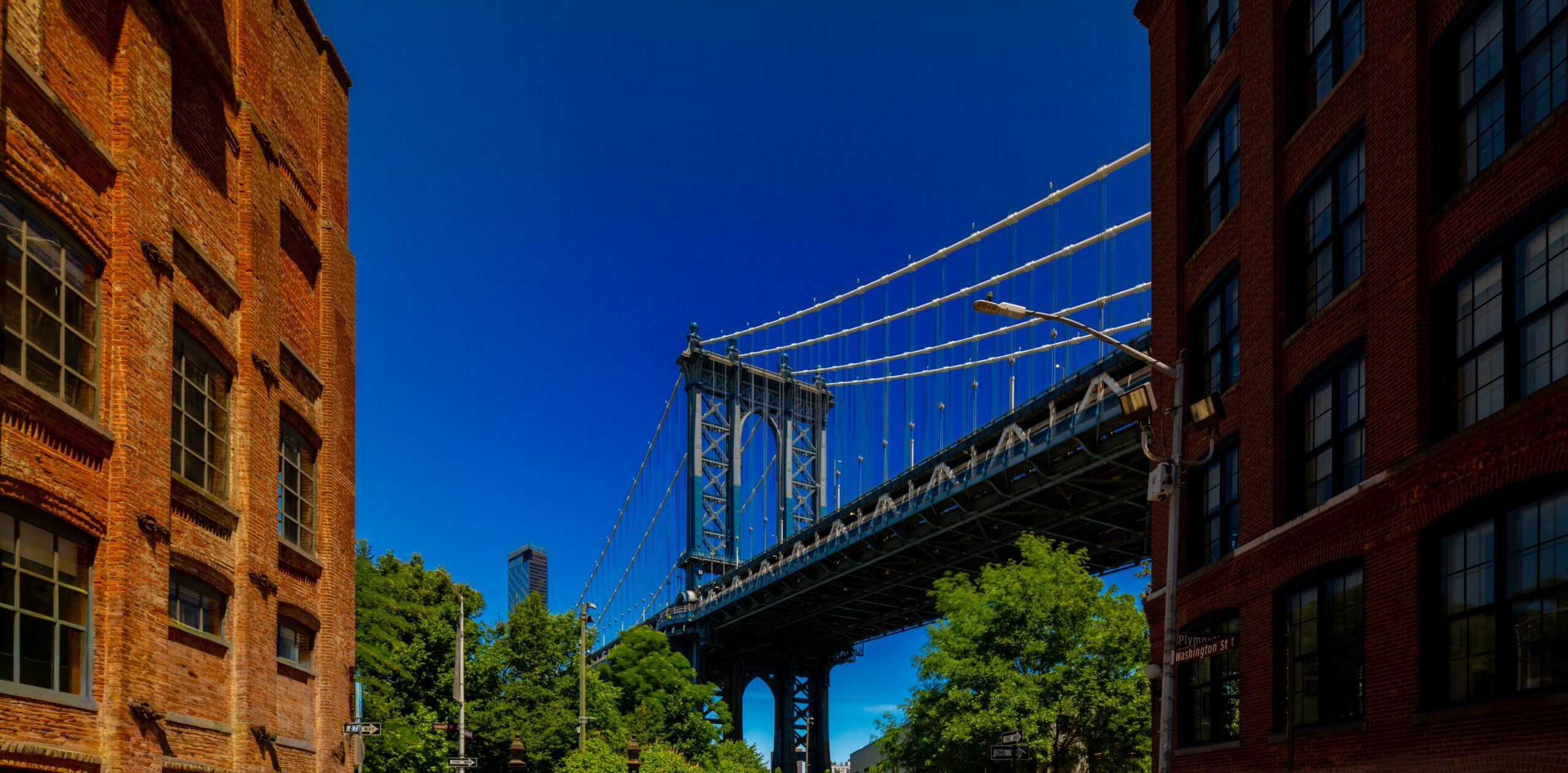 The Brooklyn Bridge The Daily Green cannabis dispensary near me dispensary times square new york city nyc manhattan midtown cannabis near me manhattan cannabis weed dispensary manhattan weed in midtown