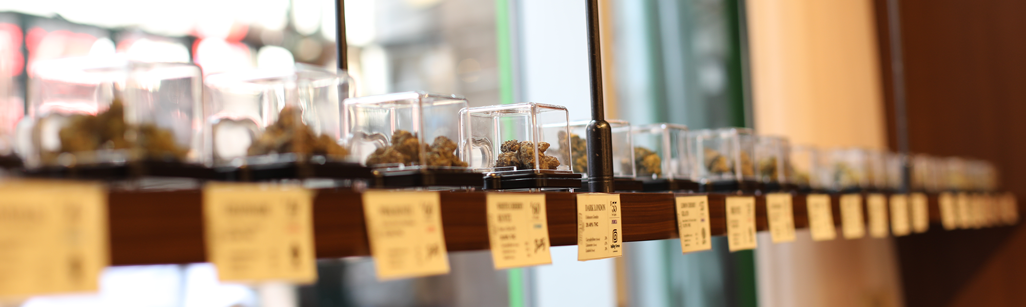 Bud Bar Homepage